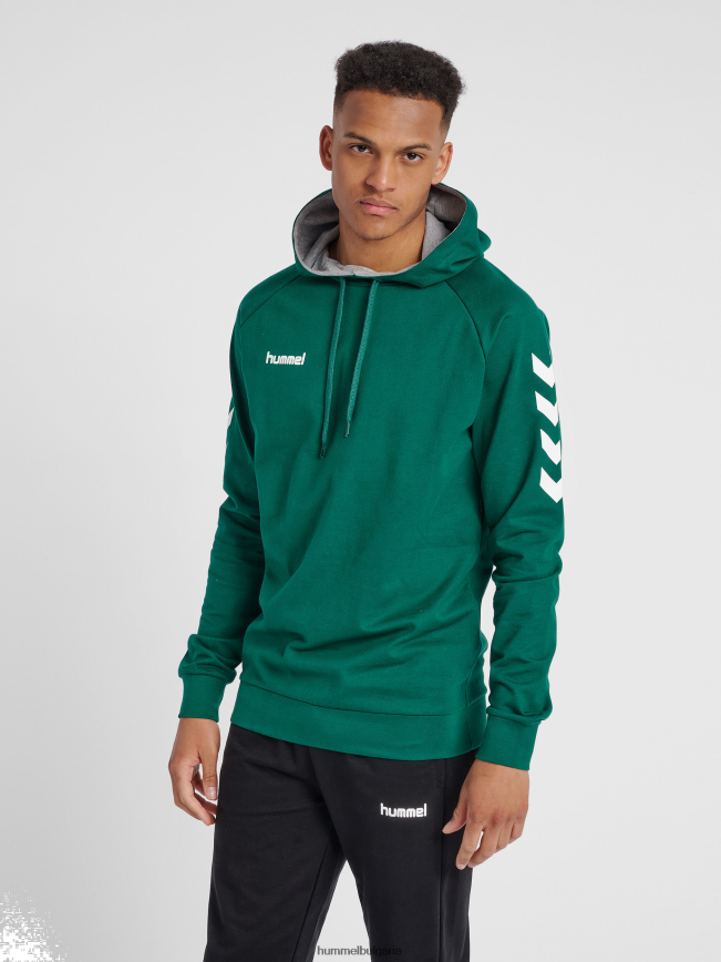 мъже Hummel памучна качулка hmlgo"качулка с шеврон ръкави" N2H2ZZ1389