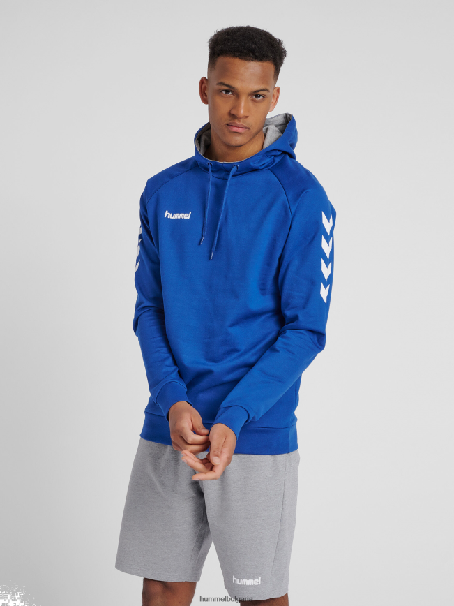 мъже Hummel памучна качулка hmlgo"качулка с шеврон ръкави" N2H2ZZ1403